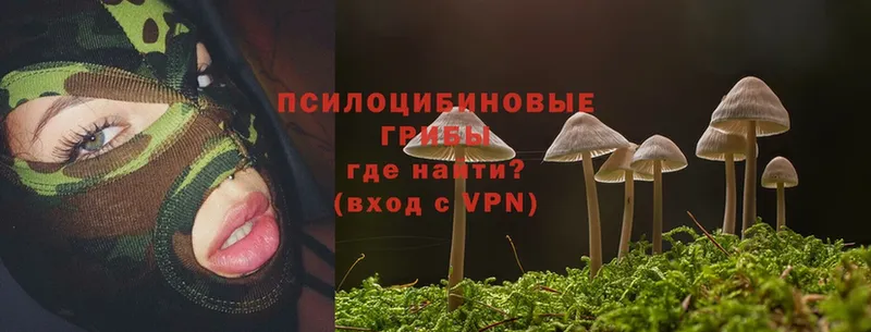 Галлюциногенные грибы Psilocybe  Раменское 